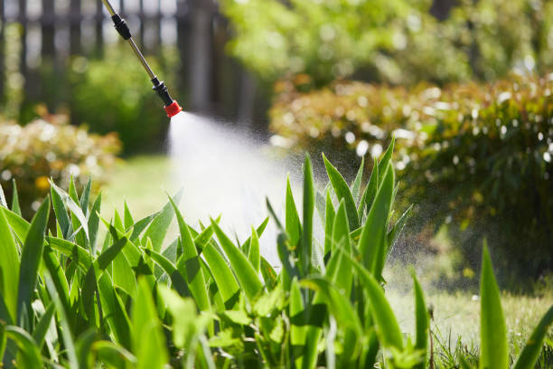 Tamper-Resistant Bait Stations for Rodents in Creston