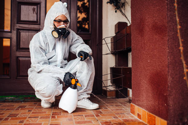 Attic and Crawl Space Rodent Treatment in Creston