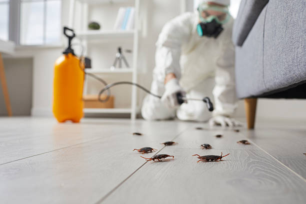 Commercial Rodent Management in Creston